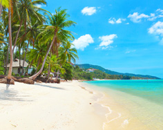 Ko Samui + Bangkok